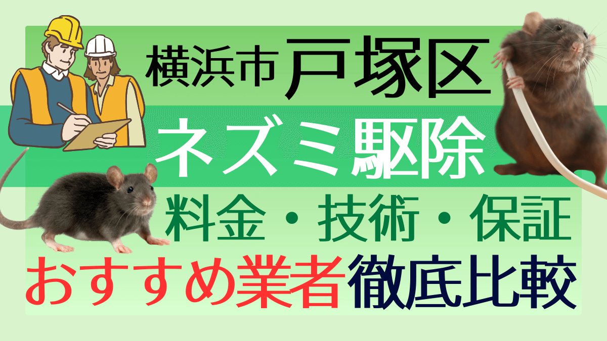横浜市戸塚区のネズミ駆除業者おすすめ7選！料金や技術・保証を徹底比較