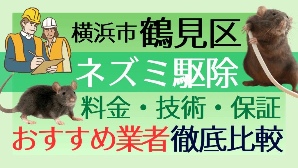 横浜市鶴見区のネズミ駆除業者おすすめ7選！料金や技術・保証を徹底比較