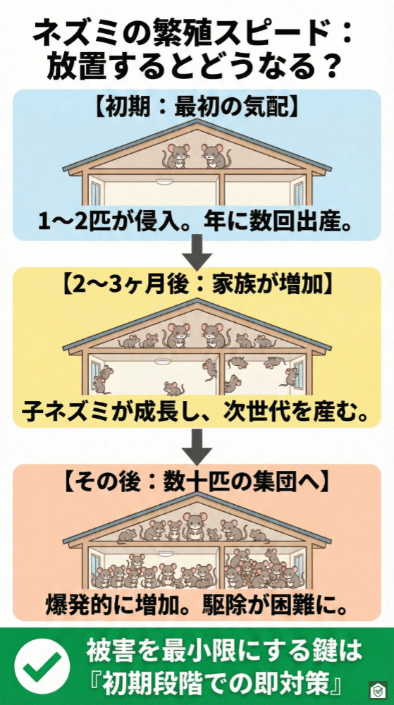 ネズミの繁殖スピードと放置した場合の増加過程を示すインフォグラフィック。初期段階では1〜2匹の侵入だが、年に数回の出産を経て、2〜3か月後には子ネズミが成長して次世代を産み、最終的に数十匹規模の集団へ爆発的に増加する様子が描かれている。被害拡大と駆除困難化を防ぐには、初期段階での即対策が重要であることを伝えている。