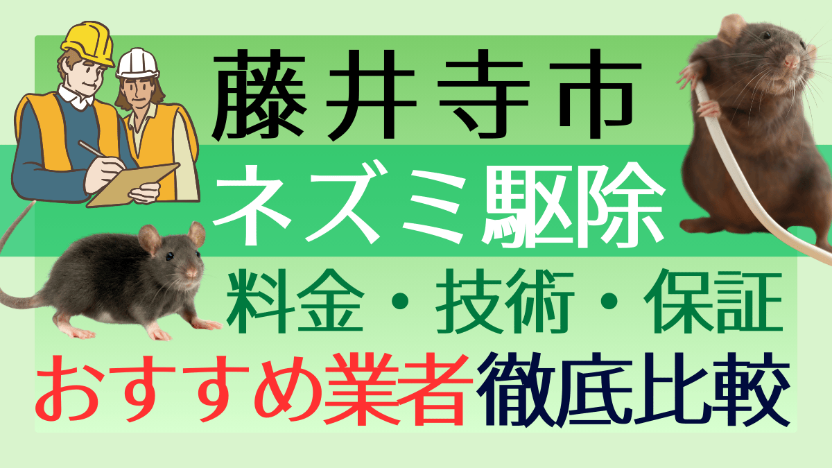 藤井寺市のネズミ駆除業者おすすめ6選！料金や技術・保証を徹底比較
