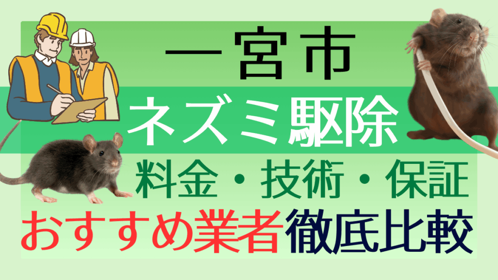 一宮市のネズミ駆除業者おすすめ6選！料金や技術・保証を徹底比較
