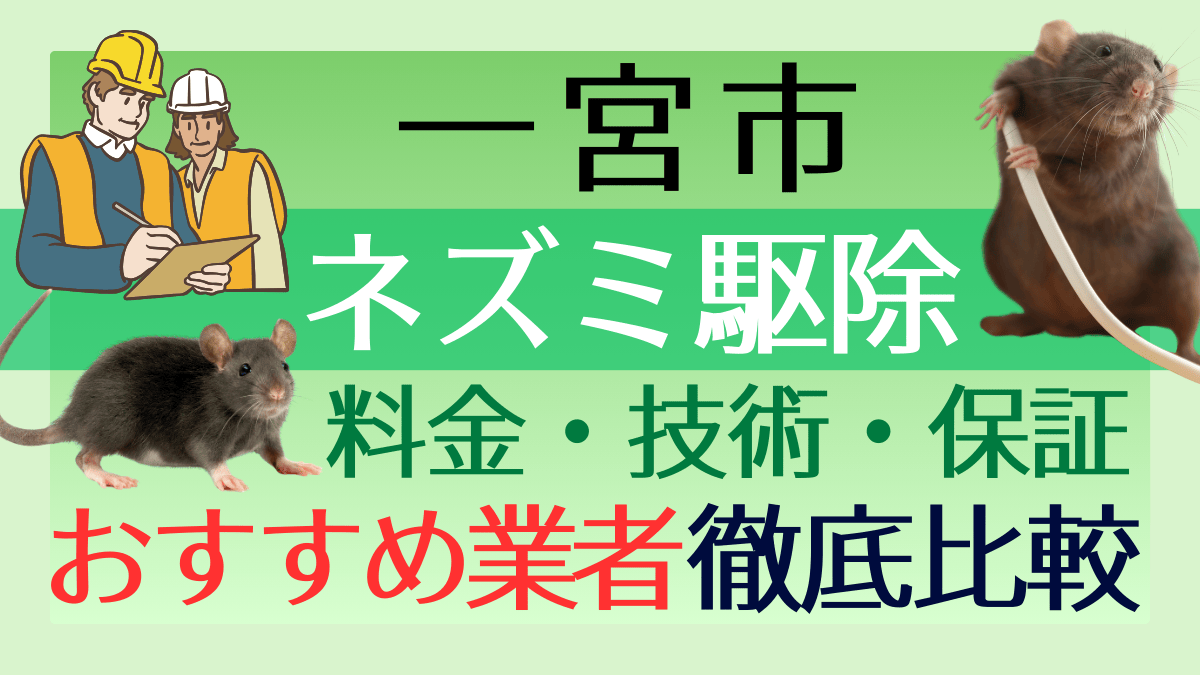 一宮市のネズミ駆除業者おすすめ6選！料金や技術・保証を徹底比較
