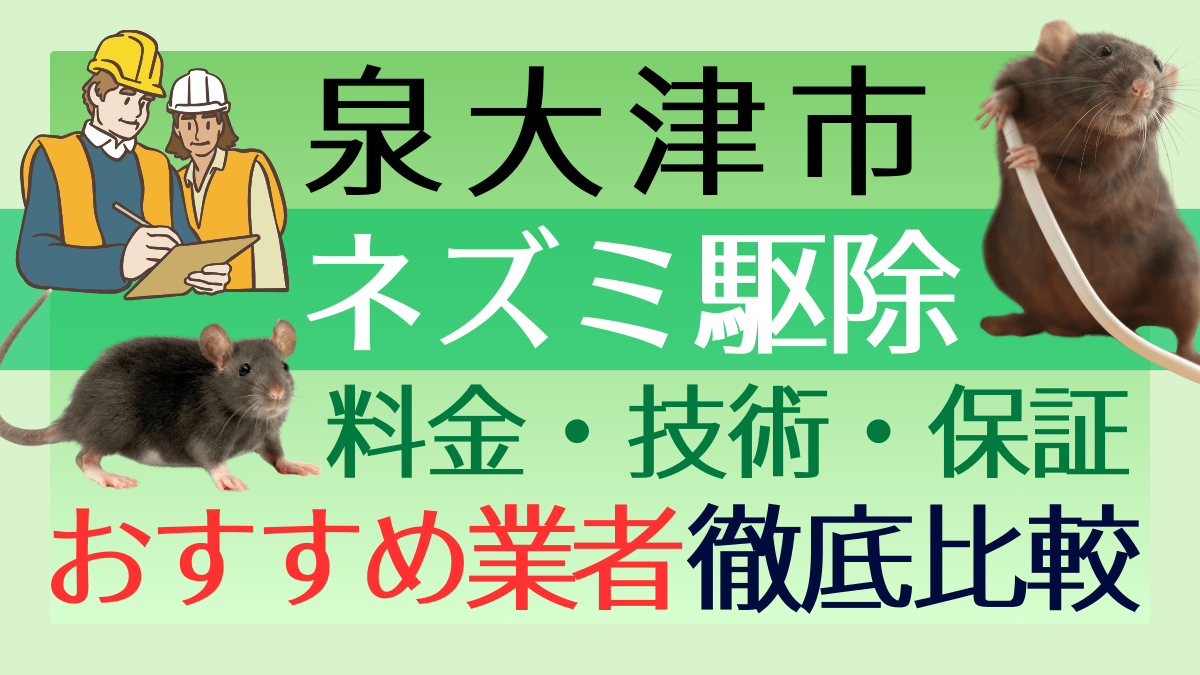 泉大津市のネズミ駆除業者おすすめ6選！料金や技術・保証を徹底比較