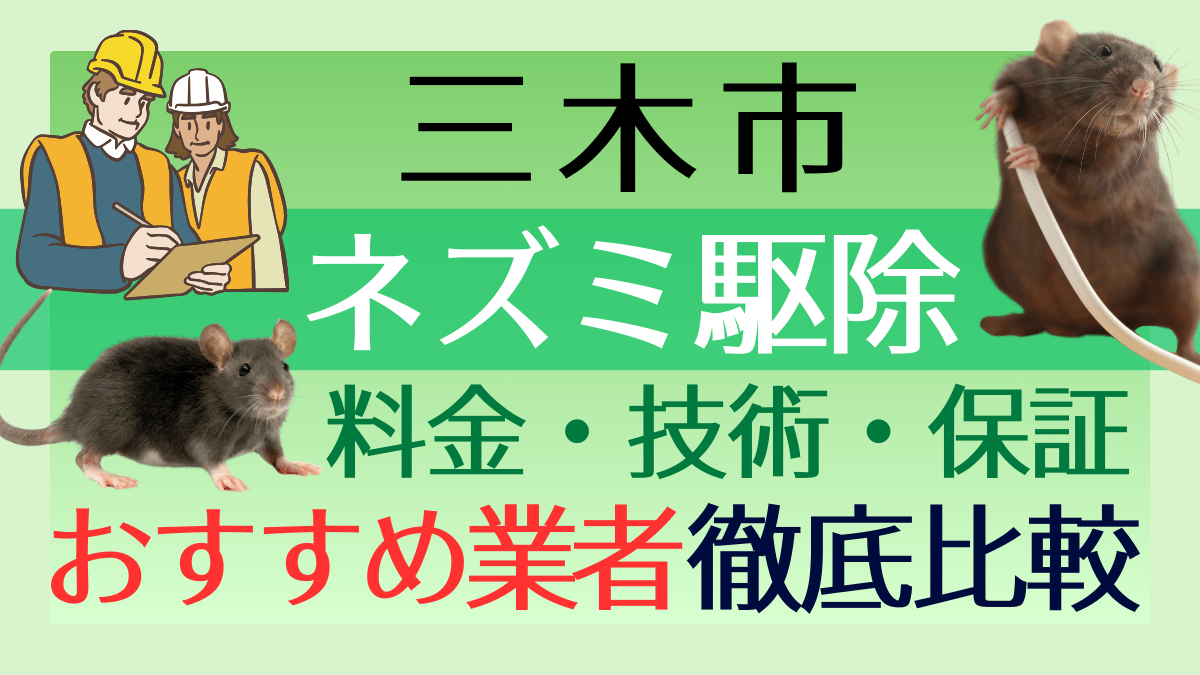 三木市のネズミ駆除業者おすすめ6選！料金や技術・保証を徹底比較