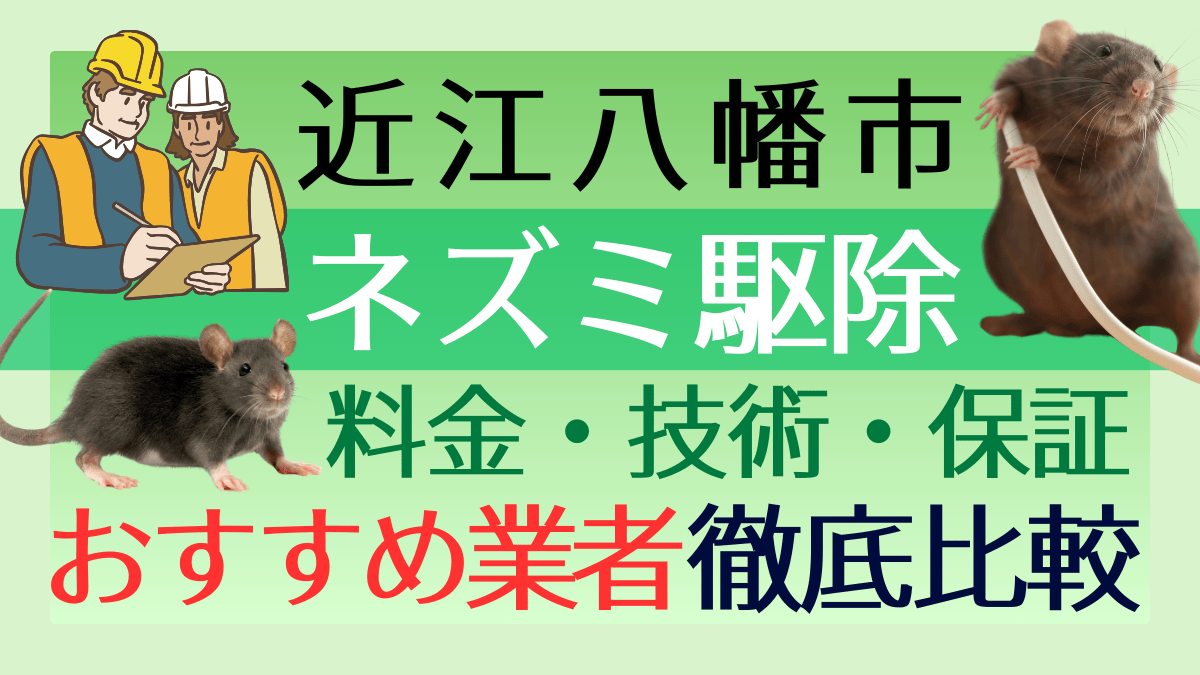 近江八幡市のネズミ駆除業者おすすめ6選！料金や技術・保証を徹底比較