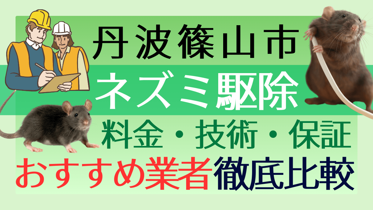 丹波篠山市のネズミ駆除業者おすすめ6選!料金や技術・保証を徹底比較