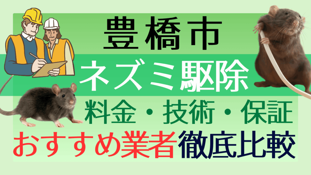 豊橋市のネズミ駆除業者おすすめ6選！料金や技術・保証を徹底比較