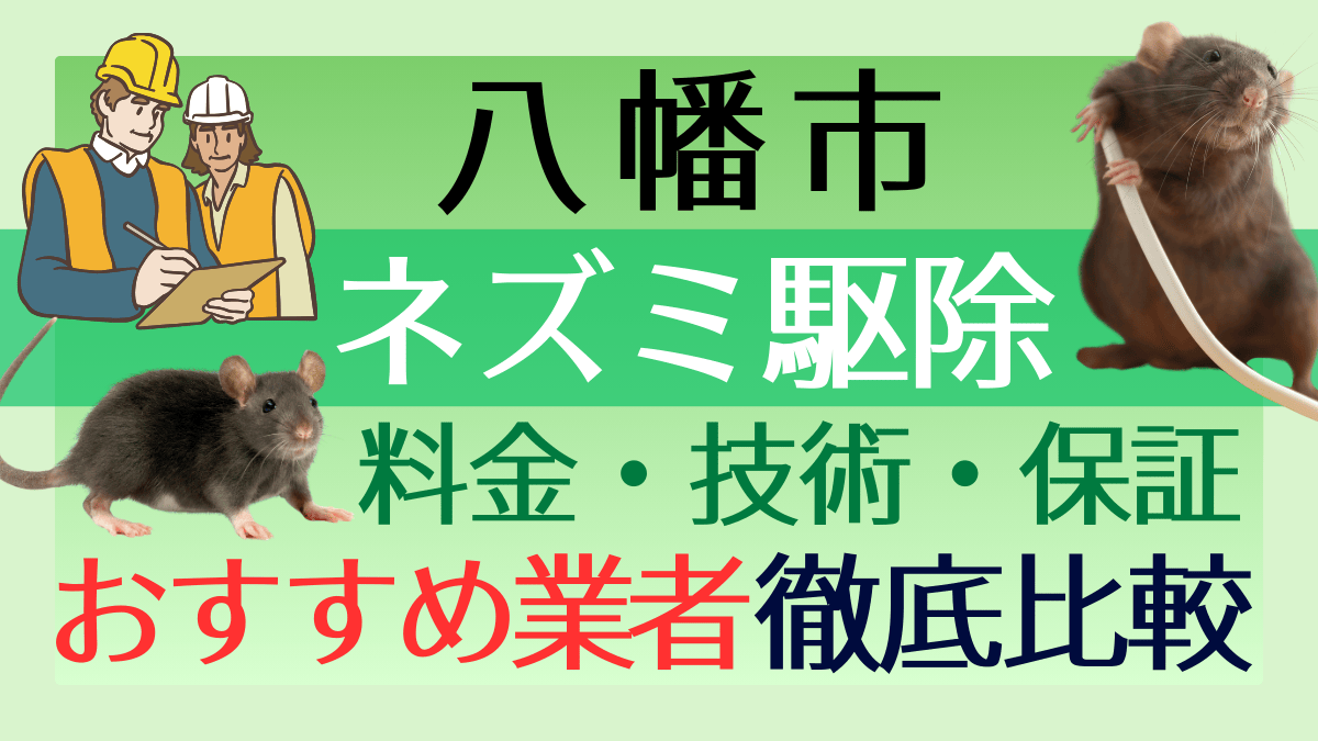 八幡市のネズミ駆除業者おすすめ6選!料金や技術・保証を徹底比較
